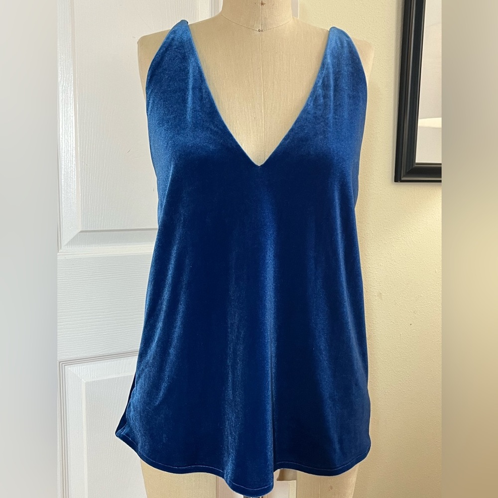 Express Blue Velvet spaghetti strap lined tank blouse